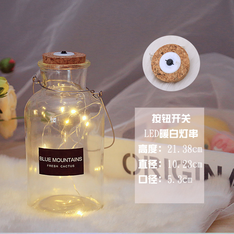 Botella de deseos luminosa botella de vidrio creativa qixi amante graduación regalo Navidad LED deriva botella estrella