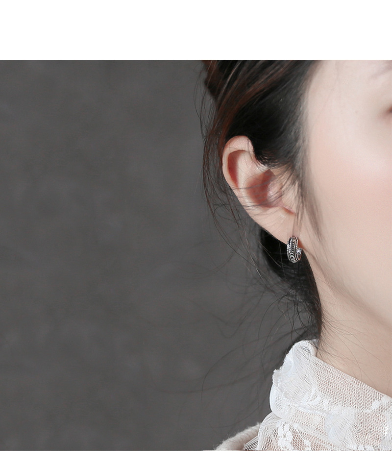 Korean Version Of S925 Sterling Silver Earring display picture 1