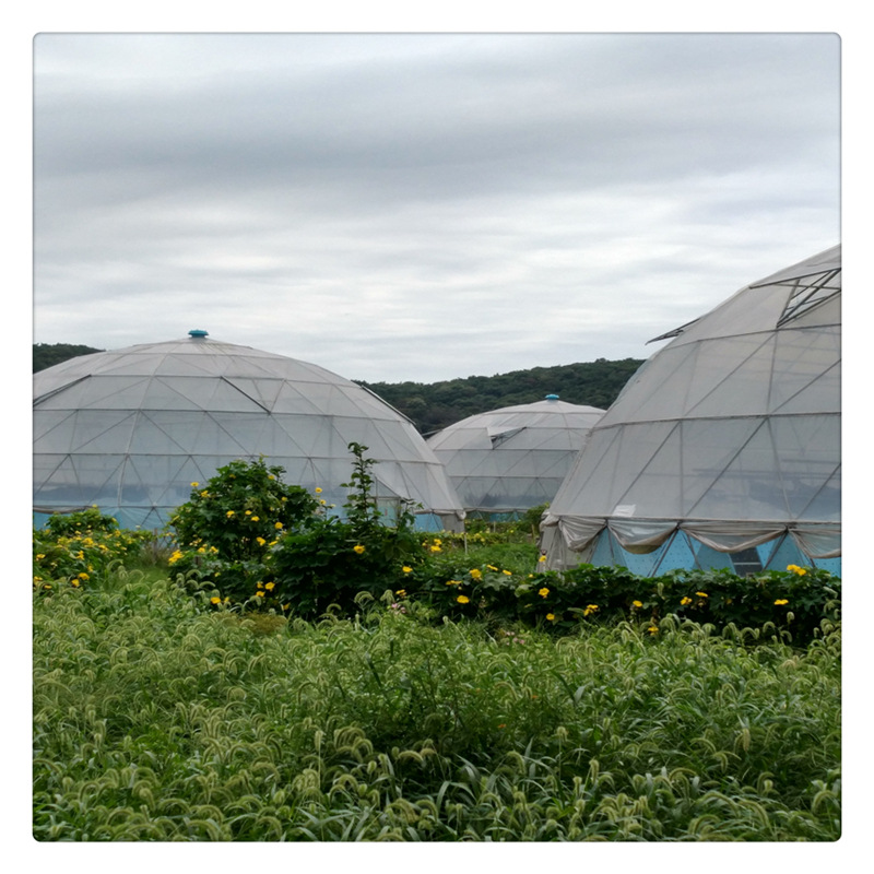 折弯加工大棚镀锌管 蔬菜大棚用镀锌钢管国标/非标防腐热轧镀锌管