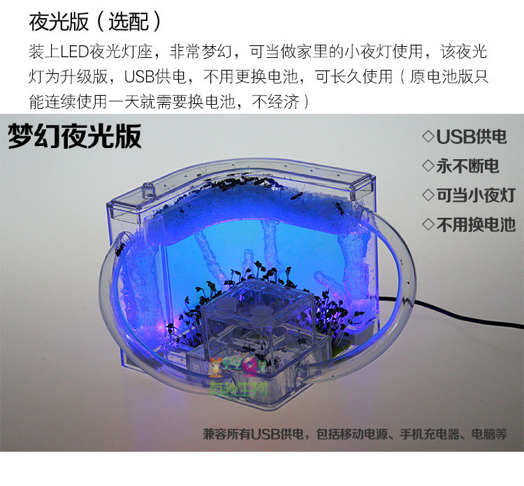 蚂蚁家园双拱桥详情描述PSD_08