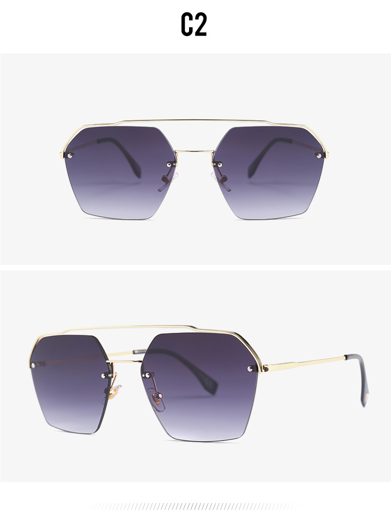 Sunglasses C6
