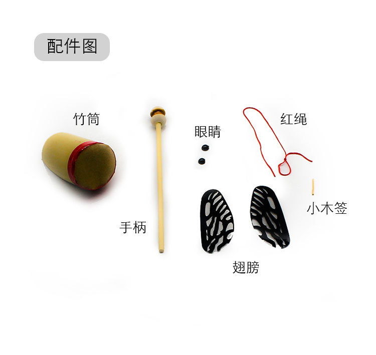竹知了_02.jpg?x-oss-process=image/format,png