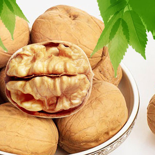 Bulk Walnuts Xinjiang 185 Paper Skin Walnuts 500g Bag Pack Light Skin Original Dry Fruit Pregnant Women Food One-Time Shipping