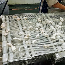 得尔润商家  什锦天妇罗打浆机价格  操作简单 终身 客户好评