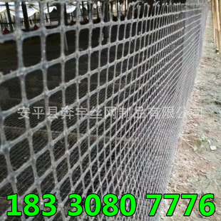 ɢ�B�u�����Ϸ��o���ھW ���ȸ� ���Օ� ����10����