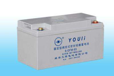 有利免维护蓄电池6GFM38 12V38AH UPS/EPS/直流屏质保三年