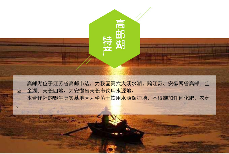Dried Gorgon Fruit Seeds Qian Shi 500g Whole Euryale Seeds for Cooking and Congee overview