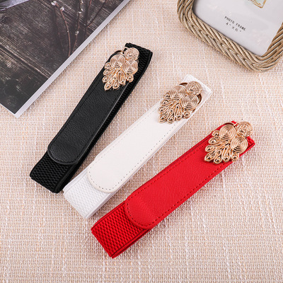 春秋新款弹力时尚松紧腰封百搭连衣裙子皮带女士腰带现货厂家批发|ms