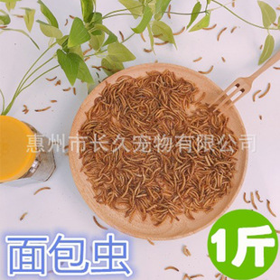 20����]ɢ�b����x�S���x  �B���}������ʳ�x��  �Bʳ���ӼZʳ