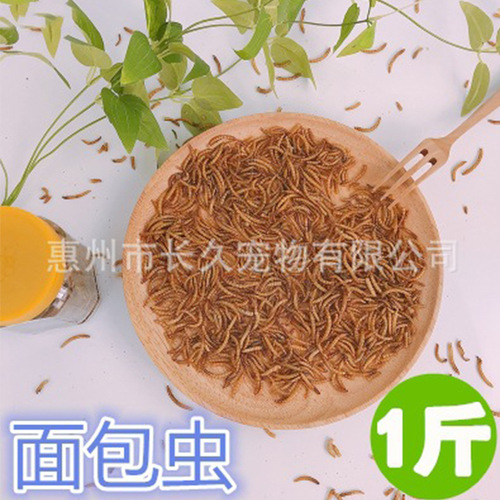 20 pounds of bulk mealworms, mealworms, special snacks for birds, turtles and hamsters, dried worms, bird food and pigeon food