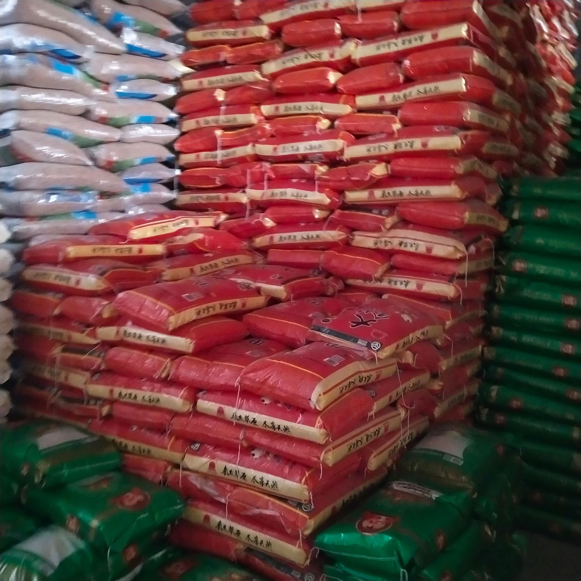 Black Soybeans, Green Kernel (Glycine max) — Northeast China Hei Dou, Food-Herb Legume specifications