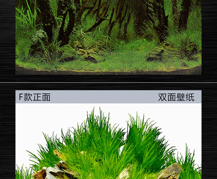 鱼缸壁画_详情750_13.jpg