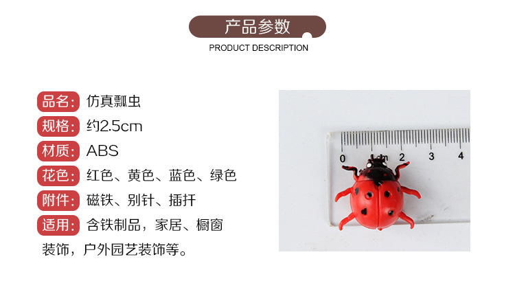仿真瓢虫-详情_02.jpg
