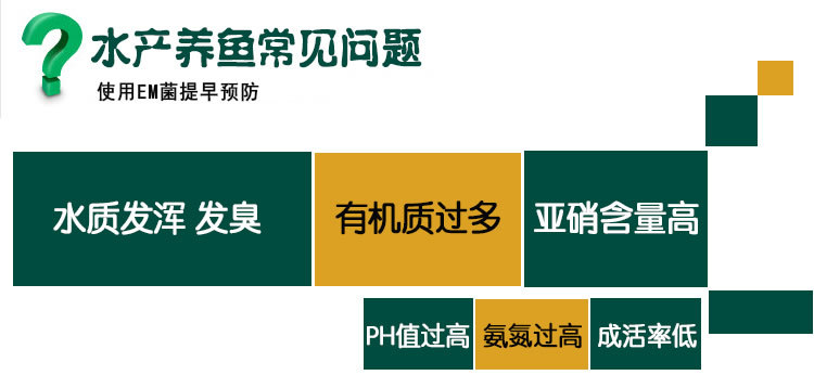 水产养鱼常见问题