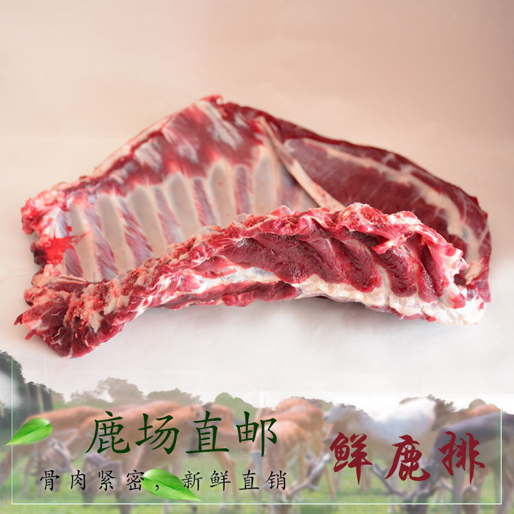鹿场直邮东北特产饭店专用新鲜鹿排  营养丰富顺丰发货鲜鹿排骨|ms