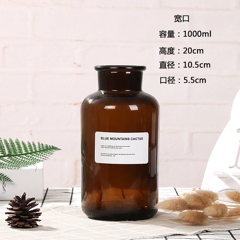 Botella de deseos luminosa botella de vidrio creativa qixi amante graduación regalo Navidad LED deriva botella estrella