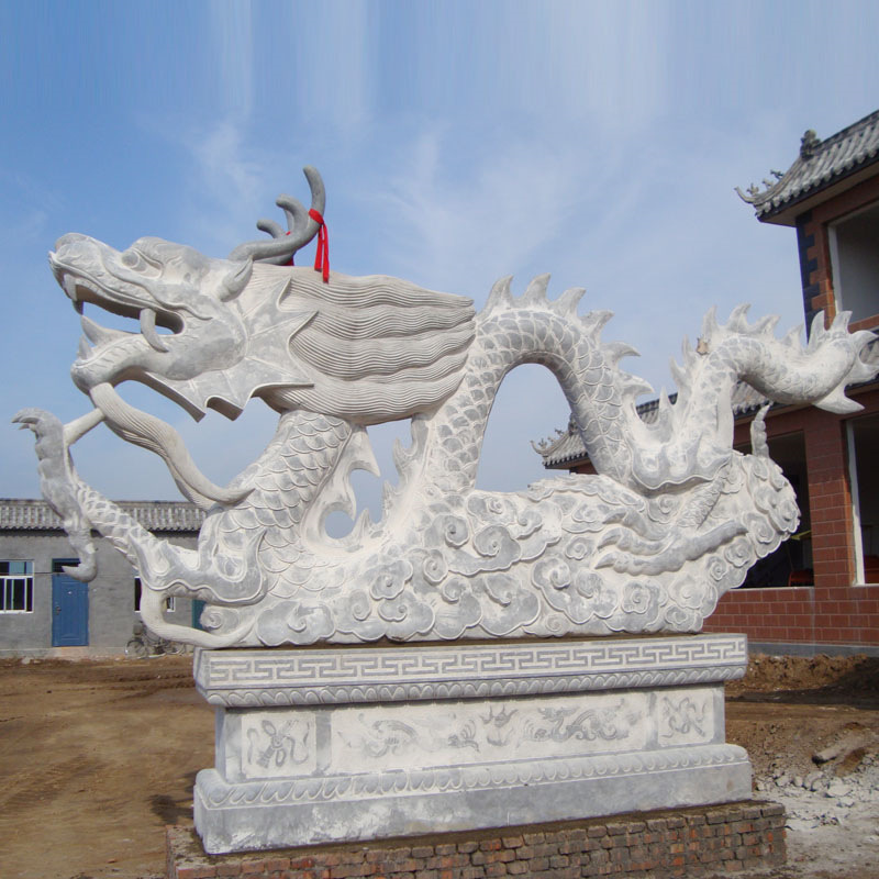 动物-青石龙.JPG