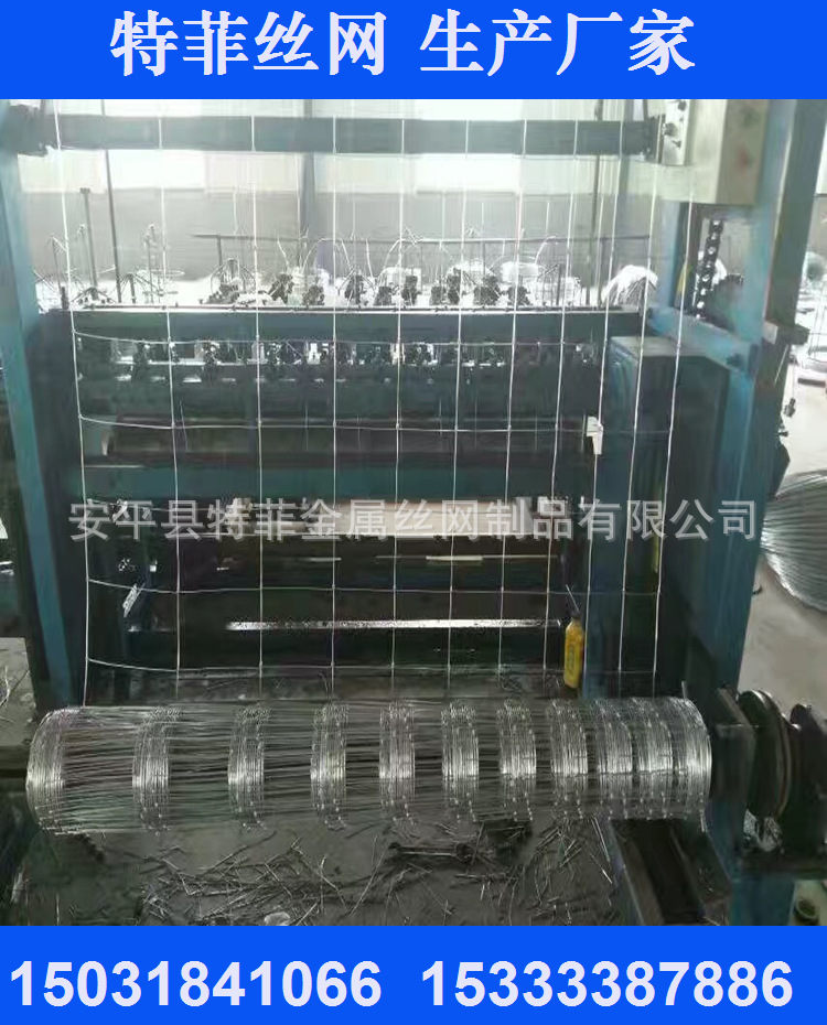 供应特废牌草原养殖网 镀锌丝牛栏网网孔均匀 坚固耐用草原网