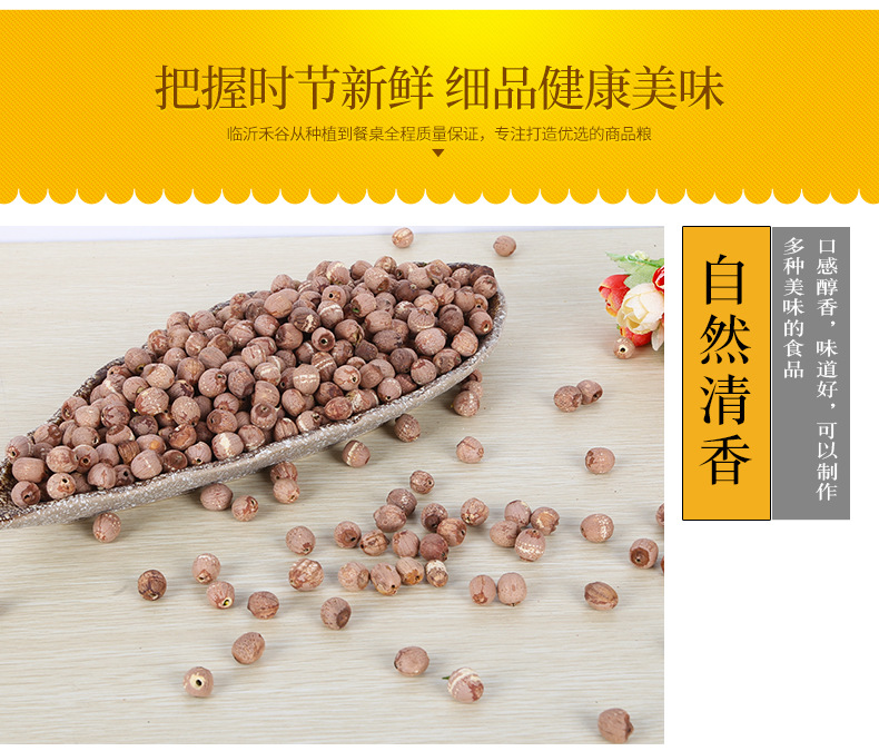 Red Lotus Seeds Hong Lian Zi Dried Core-Removed Low-Temperature Baked Bulk for Soup Congee and Soy Milk in use