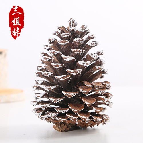 American pine cone tower dyed white large pine cone crafts raw materials Christmas decoration props ornaments pine cone balls wholesale