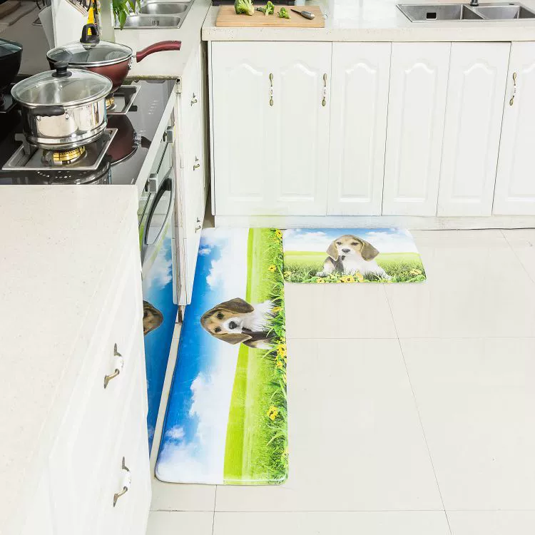 Comfortable soft carpet for home use, doormat, water absorbent