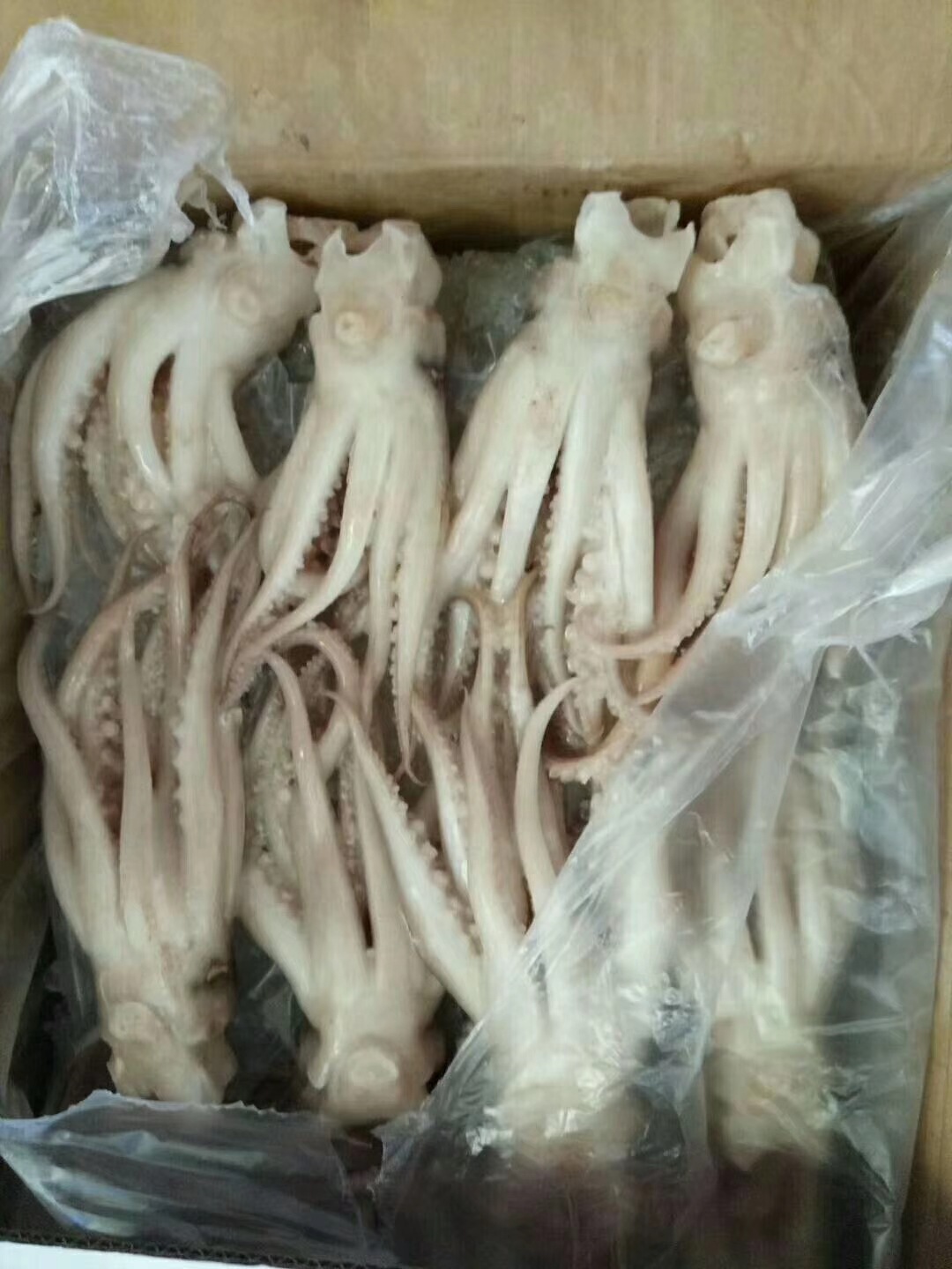 边贸报关代理