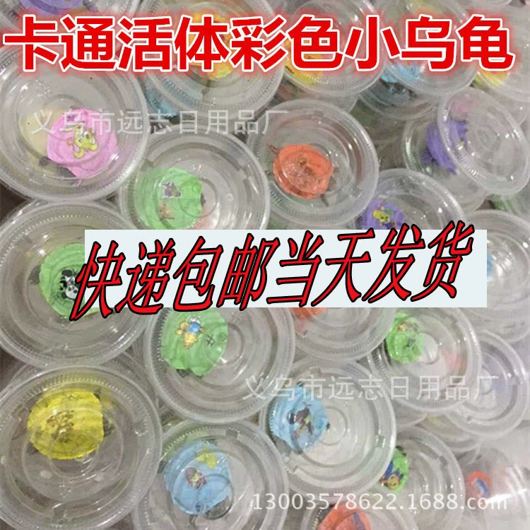 Фабрика прямой живописный горячий красочный маленький черепаха ночной рынок зоомагазин аквариум Самые продаваемые небольшие Черепаховые фермы саженцы