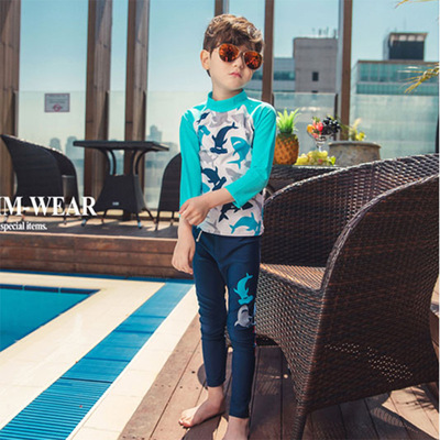2018 new pattern children Swimsuit Boy Long sleeve Fission Dolphin Sunscreen Swimming suit baby CUHK swimming trunks
