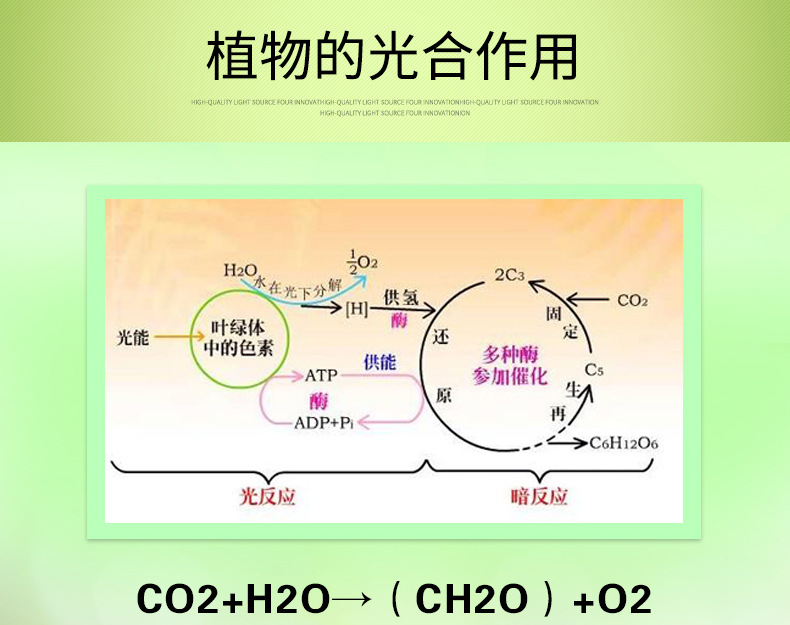 新阿凡达详情页_02