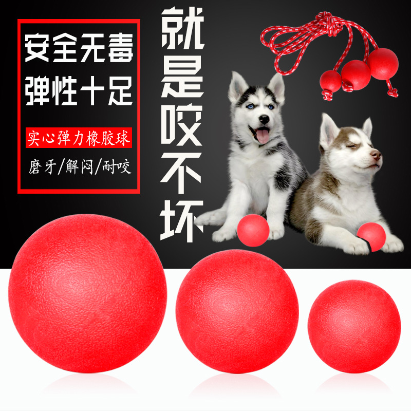 厂家批发 宠物耐咬球 实心橡胶弹力球 宠物玩具 狗球 训狗啃咬球|ms