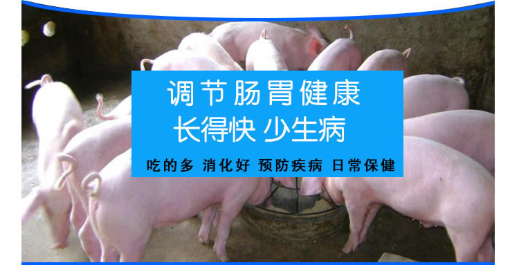 猪儿健EM益生菌