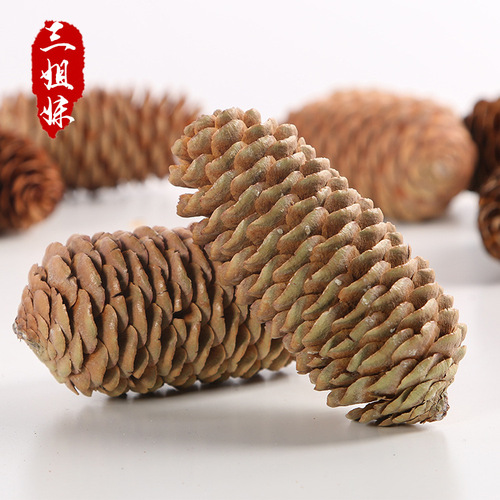 Large supply of big forest spruce pine cone pine cone Christmas decorations pine cone ball hangings shooting props wholesale