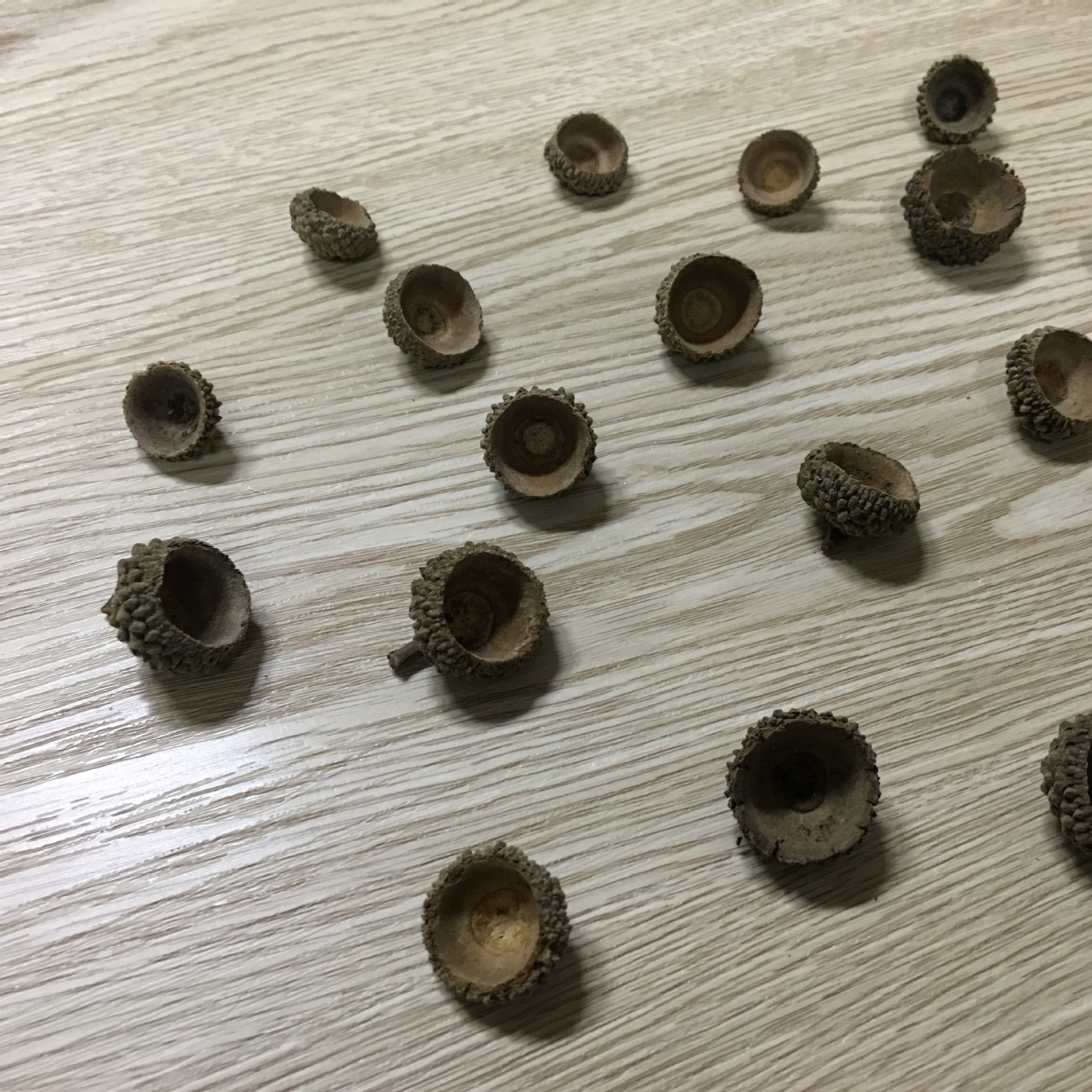 橡果天然橡子壳橡果帽森女系diy手工材料天然干花干松果复古道具-阿里巴巴