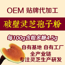破壁灵芝孢子粉 高含量大别山有机栎木灵芝孢子粉原料 金寨厂家