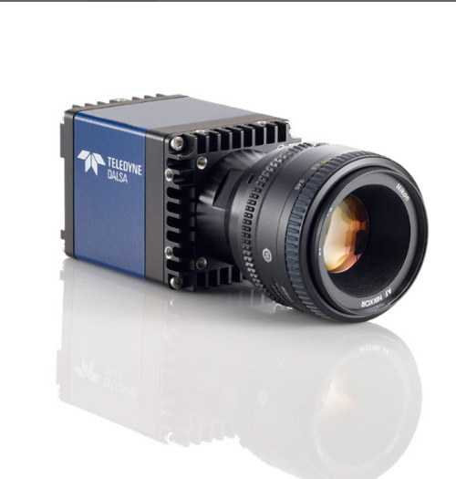 面阵摄像机  DALSA达尔萨　FA-81-8M100