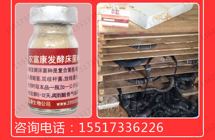 发酵床养蛇技术