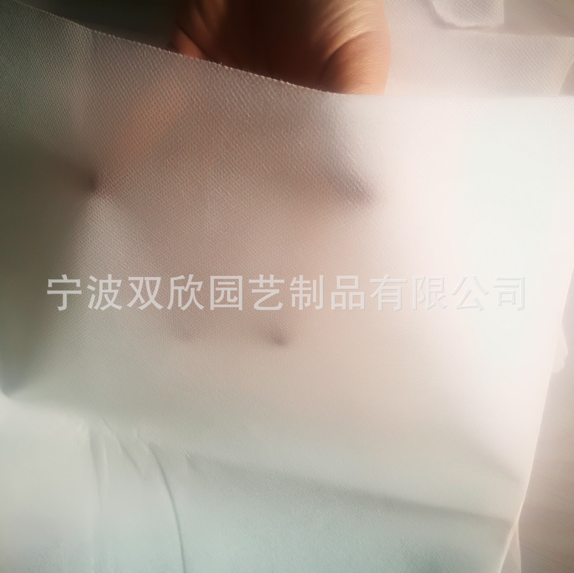 厂家供应   防草地布  PP黑色抗老  化防草布   果园除草布