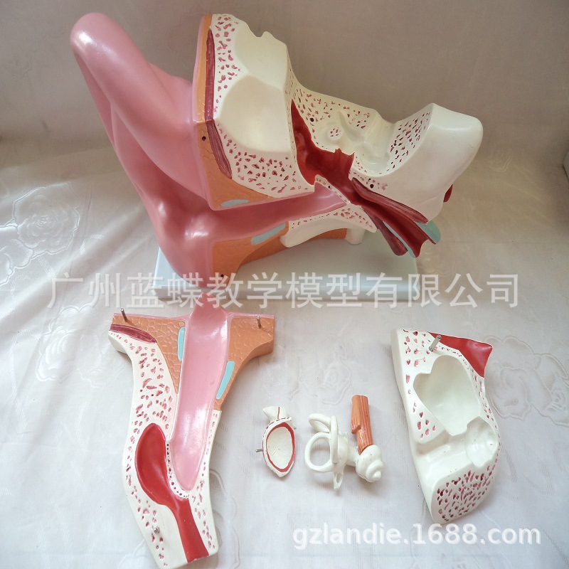 DSC01639