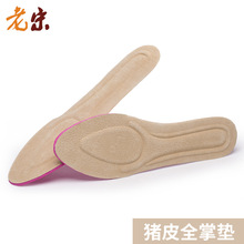 �����Ρ� �ߏ����_EVAЬ�|Ůʿ�iƤ �ļ��߸�ЬЬ�|͸��Ь