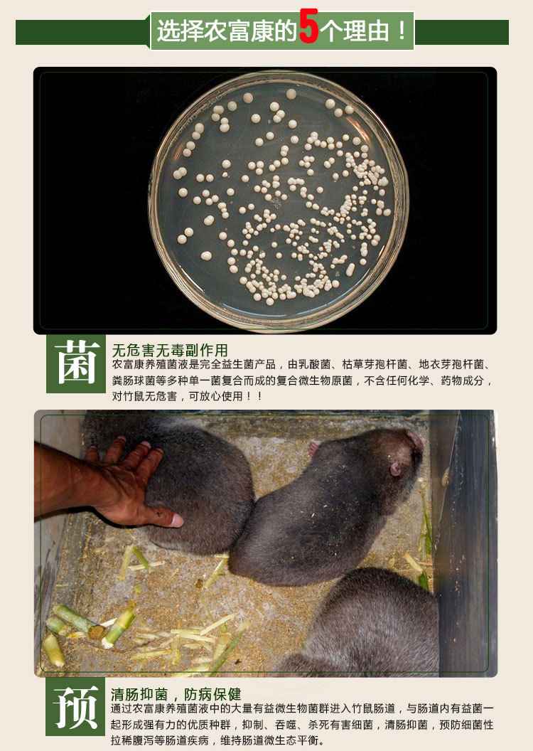 竹鼠调理肠胃益生菌活菌