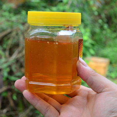供应 森野蜂业 龙眼蜜 蜂蜜批发 天然野生龙眼蜜