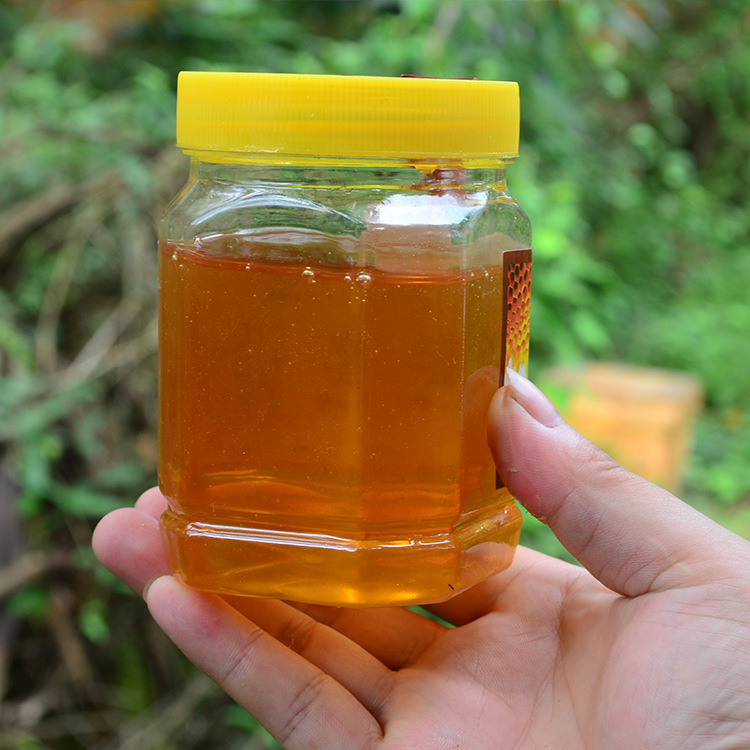 供应 森野蜂业 龙眼蜜 蜂蜜批发 天然野生龙眼蜜