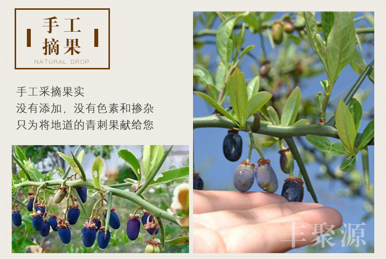 刺油果,油果,非油果_大山谷图库