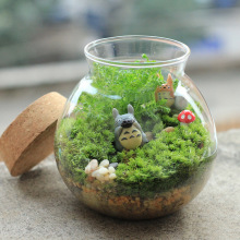 ̦�\ ΢���^���Bƿ ���r�װl�\С�װl ΢���^����ز� ��̦���l