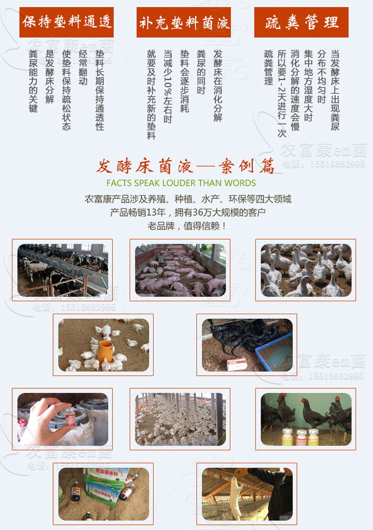 发酵床菌种