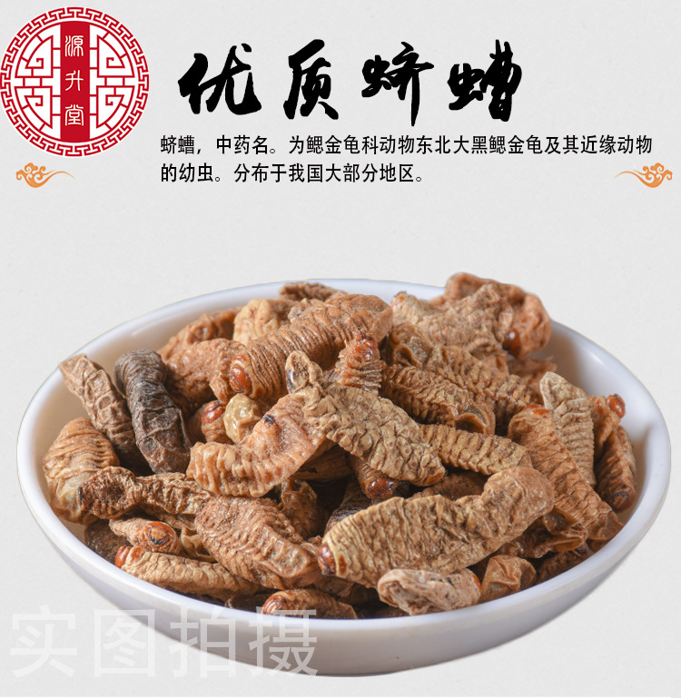Qi Cao (Protaetia brevitarsis Larva) — Dried Insect Food Herb, 500g key features