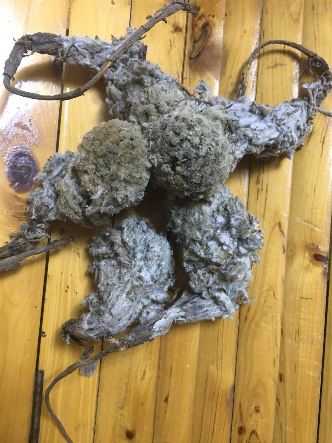 高原饮品新趋势：绿色自然的力量