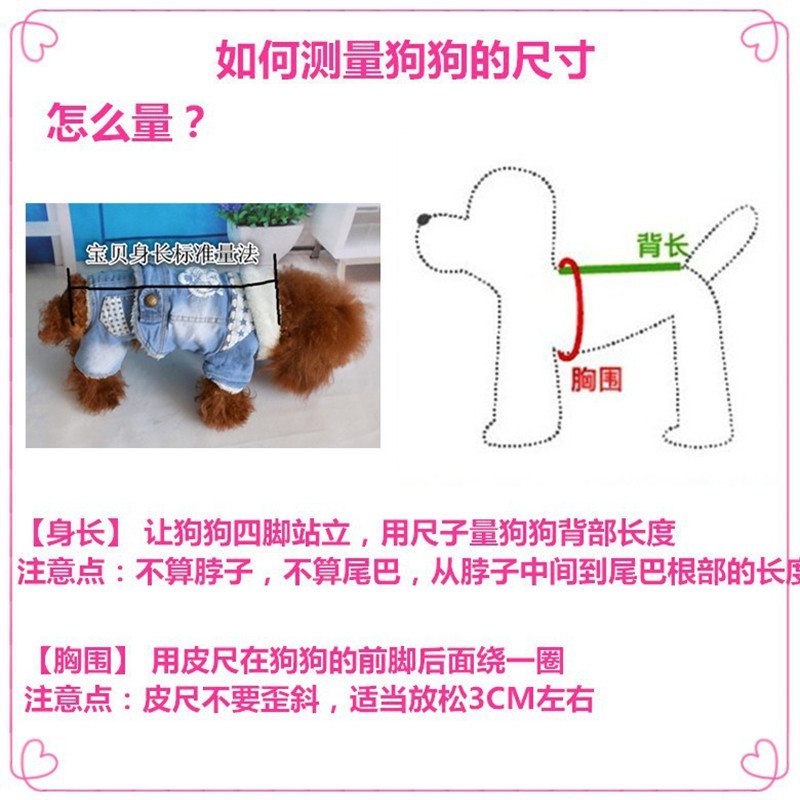 3397714568_289572969_副本