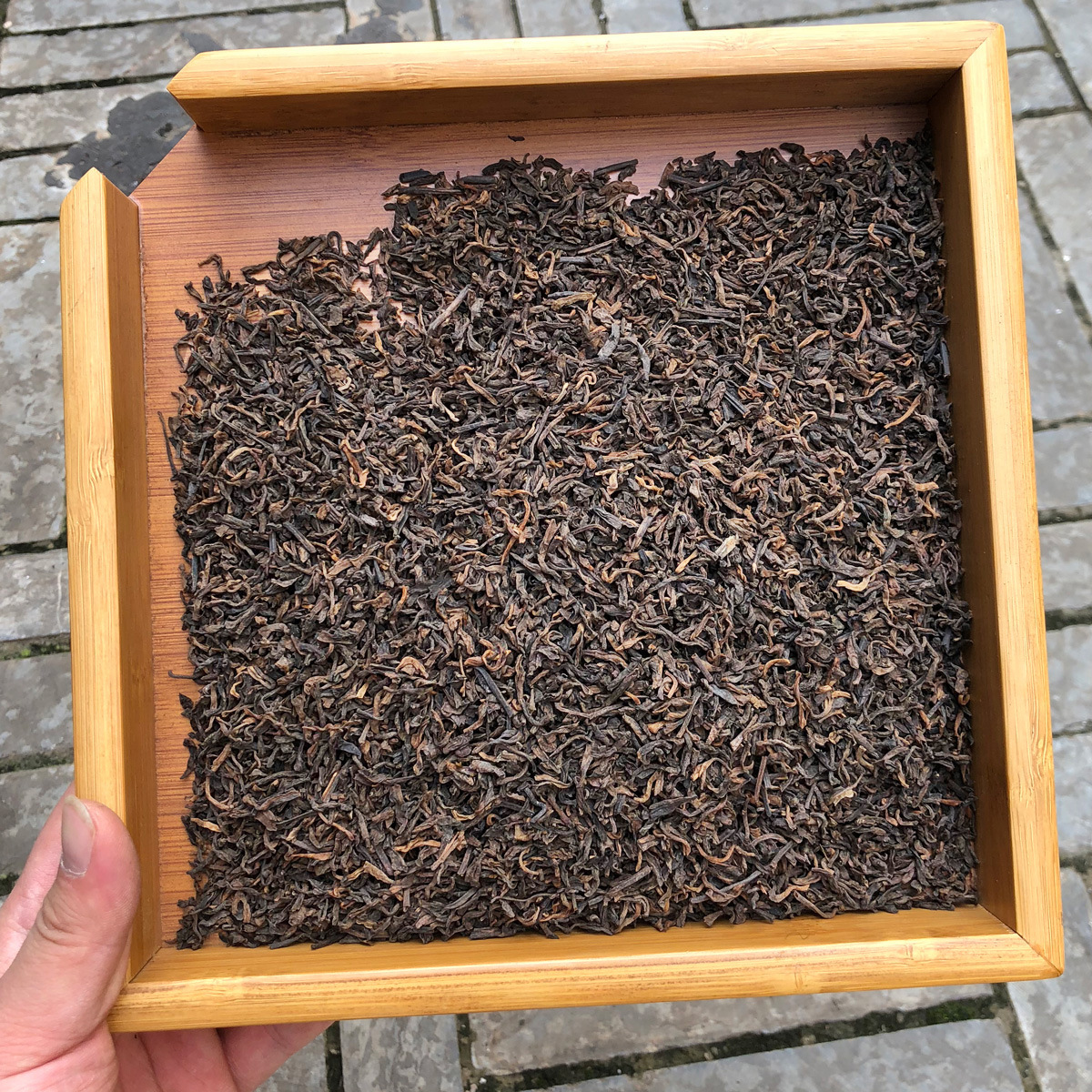 批发云南勐海普洱茶叶永德宫廷金芽2017年春茶 干仓熟茶 500g散茶