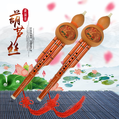 鳳尾竹 葫蘆絲 C調降B調 兒童小學 成年人 演奏型胡蘆絲 自學